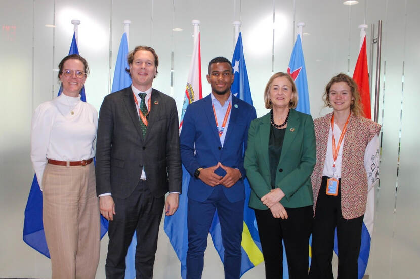Dutch Delegation during ECOSOC Youth Forum, with the Ambassador and the youth representative second and third from the left.
